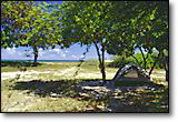 Kanaha Beach Park campsite
